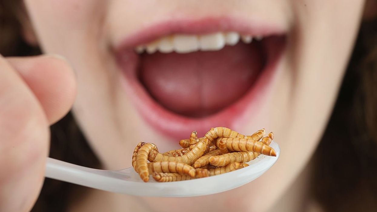 CBS Segment Pushes Insects as ‘Low-Carbon Solution to Feed Animals and the World’s Population’